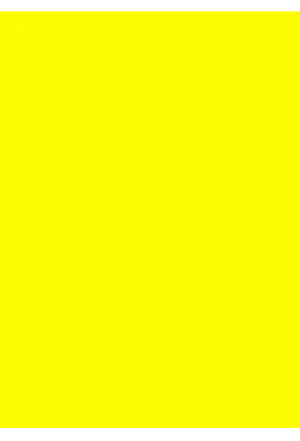 Quinoline Yellow SS/D&C Yellow 11/Solvent Yellow 33